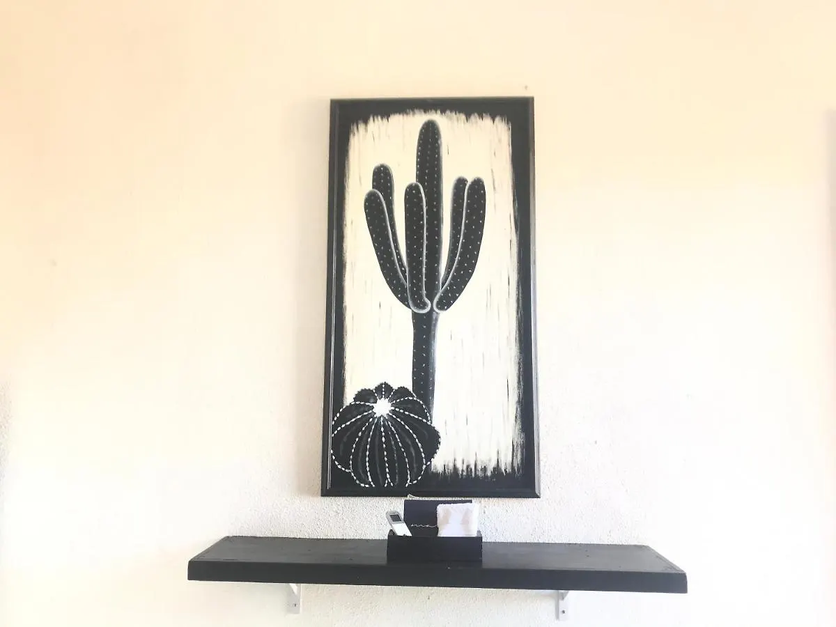 Cozy Black And White Studio Appartement Cabo San Lucas Mexico